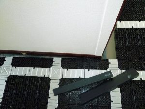 P1000708_400