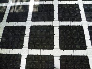 P1000715_400